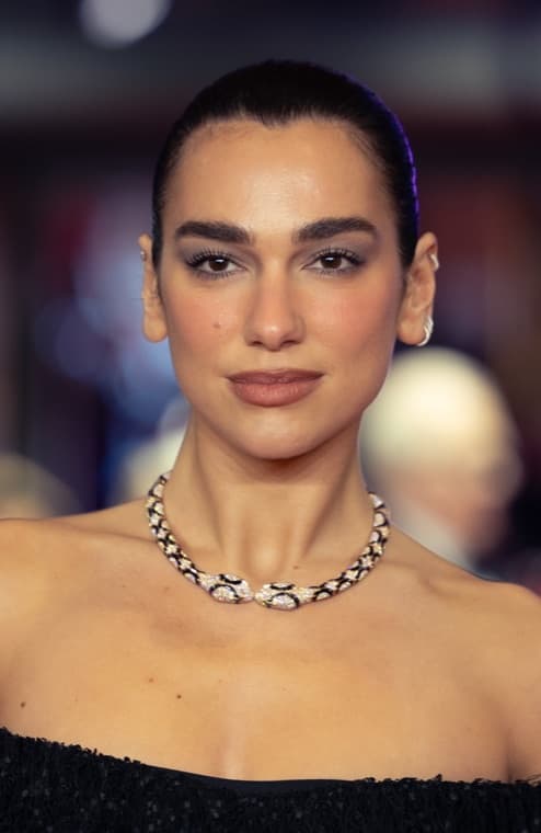Dua Lipa, Instagram creator